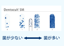 ③ 虫歯菌の数を調べます。
