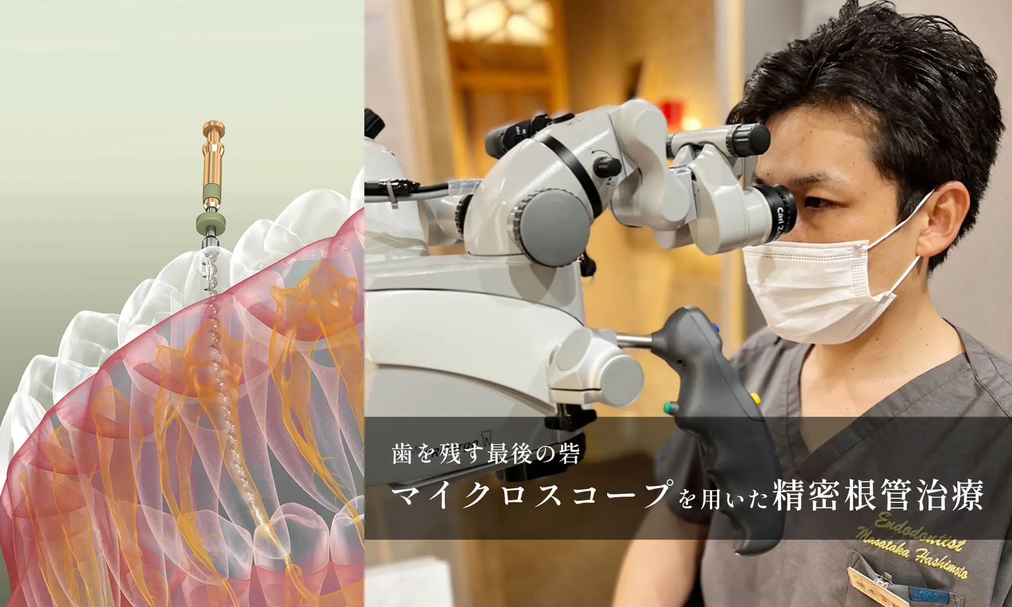 奈良市 はしもと歯科クリニック