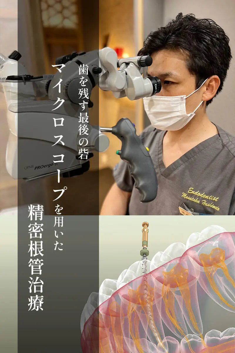 奈良市 はしもと歯科クリニック